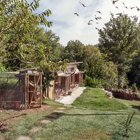 ゲストハウス Casa Do Campo Al Caldas de São Jorge