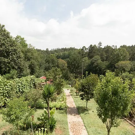 ゲストハウス Casa Do Campo Al *