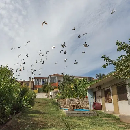 Casa Do Campo Al Caldas de São Jorge