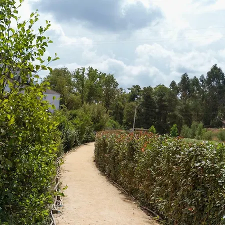 Casa Do Campo Al Caldas de São Jorge