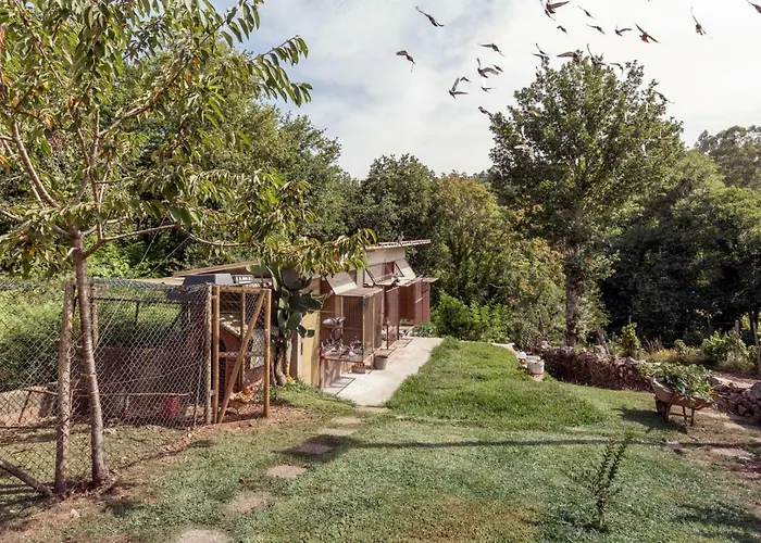 Maison d'hôtes Casa Do Campo Al Caldas de Sao Jorge